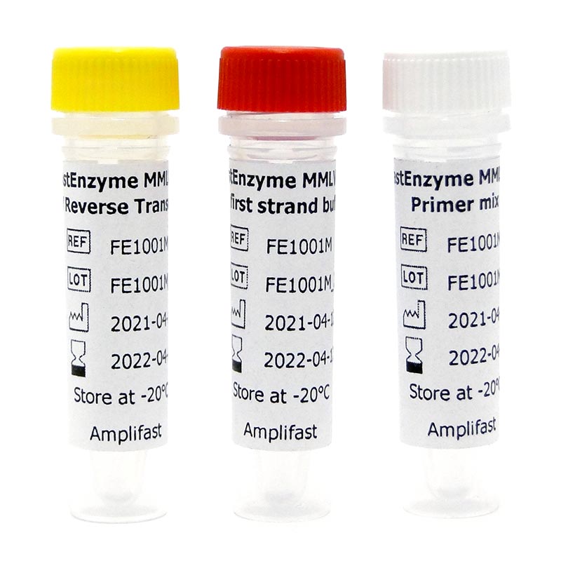 FastEnzyme MMLV H-